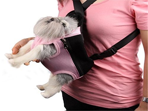 small dog front carrier