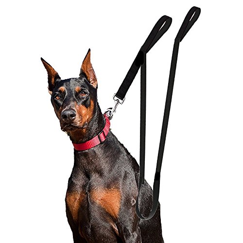 twin dog leash