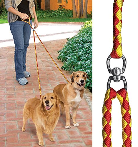 dual dog leash