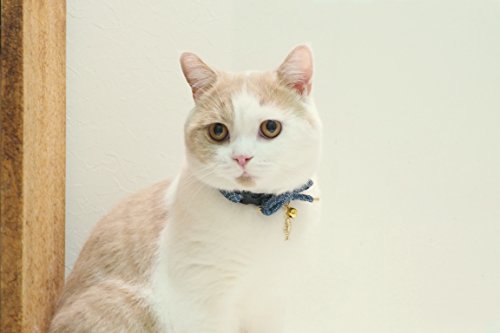 zen collar for cats