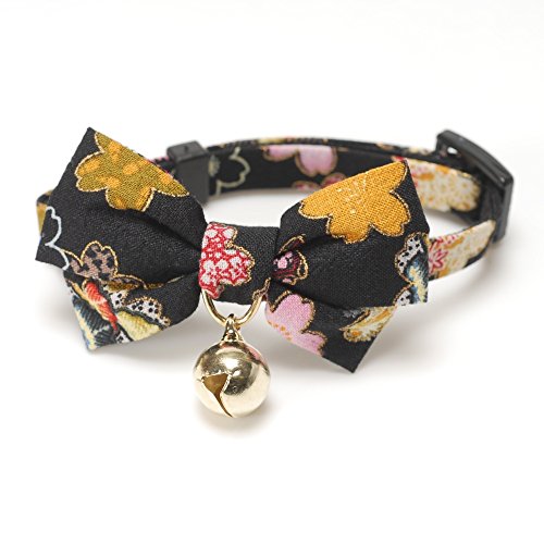 black bow tie cat collar